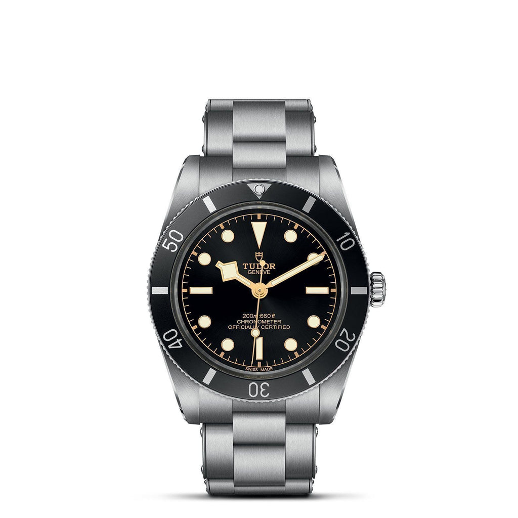 TUDOR Black Bay 54 M79000N-0001