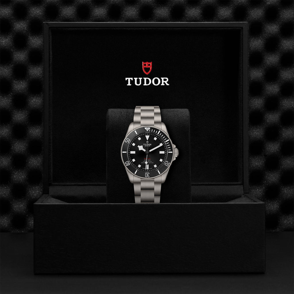TUDOR Pelagos 39 M25407N-0001